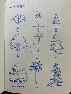 画树我熟｜这样研究树更容易掌握树的画法-花瓣网