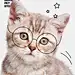 PETSTORE海报-05