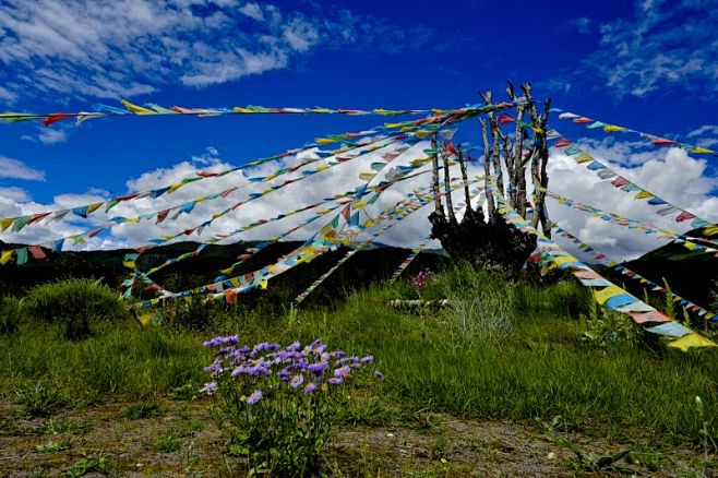 神圣的经帆
在西藏，经帆是一道道靓丽的风...