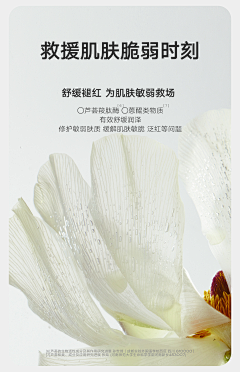 蓦然易采集到成分