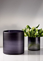 These frosted glass vases have an ombre effect that starts with a near black, deep purple color at the top, that lightens to purple and grey tones towards the bottom. Here we filled the smaller vase with pretty white and green parrot tulips.: 
花  器
