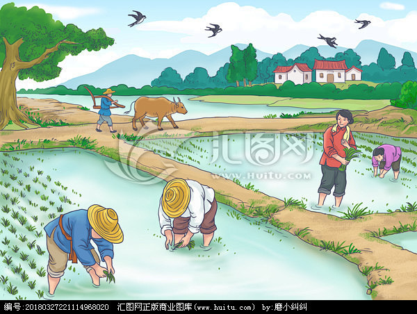 稻花香插秧插画