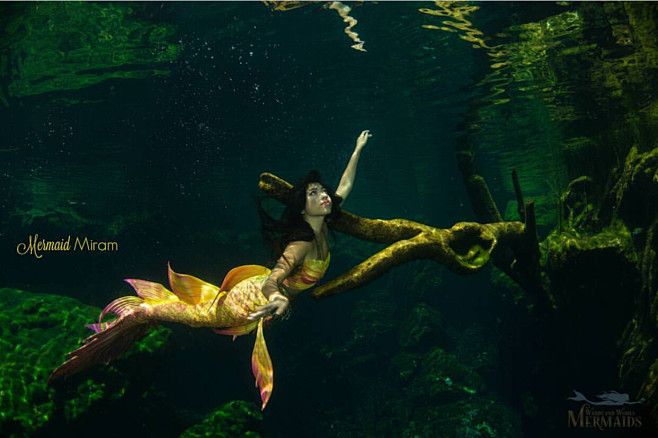 美人鱼人鱼海的女儿mermaidsiren塞壬海妖