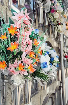 墓地里的鲜花