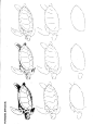 50种海洋动物画法-14