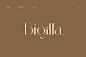 Bigilla衬线现代经典logo设计时尚英文免费字体下载-topimage
