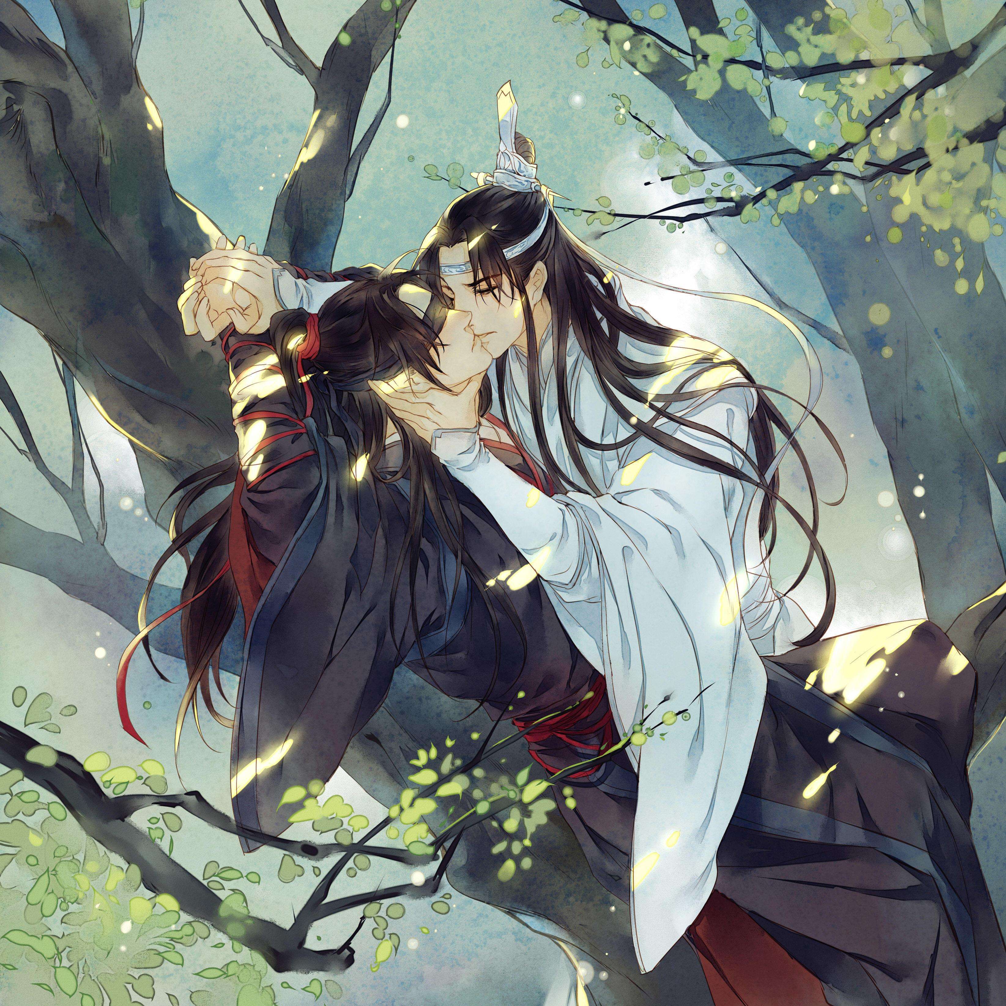 魔道祖师忘羡魏无羡蓝忘机