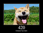 420 Enhance Your Calm: Returned by the Twitter Search and Trends API when the client is being rate limited. Likely a reference to this number’s association with marijuana.