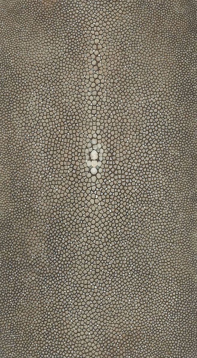 kinon - shagreen