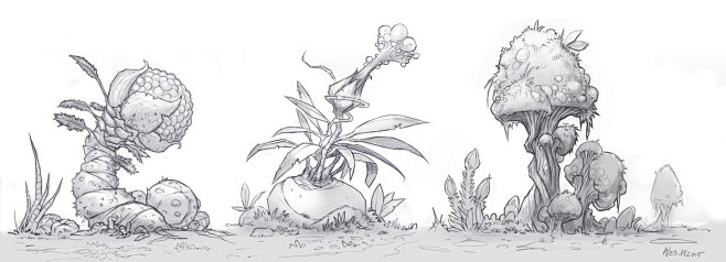 Plant Concepts 01, W...