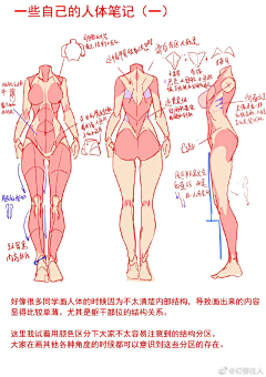 中间中采集到体型·女