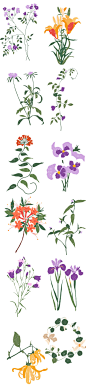 时尚复古手绘植物花卉插画矢量春天花朵插图素材AI免扣PNG (3)