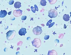 贝壳  - 源文件下载【酷图网】贝壳,手绘,数码,设计,效果,