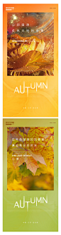 Design006_zcBQdMzDNA.jpg (1424×5498)