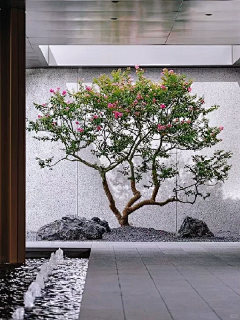 鸾酒九九采集到元素—节点/细节