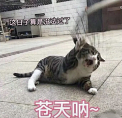 ┾Ｓmile二猫请三思采集到表情包