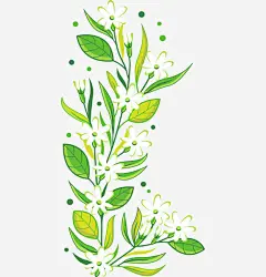 小草和花朵高清素材 免抠 设计图片 免费下载 页面网页 平面电商 创意素材 png素材