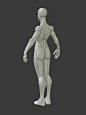 Stylized Heroine Anatomy Blockout