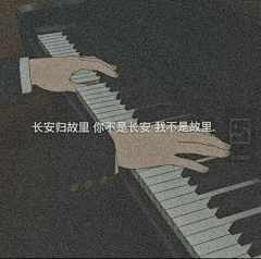 迷恋你的腰采集到排版