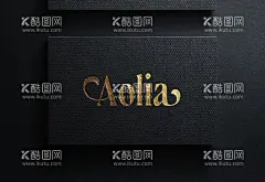 黑金黑卡样机  - 源文件下载【酷图网】黑金黑卡样机,黑金,黑卡,纸,企业,圆角,名片,烫金,压痕,VI,样机