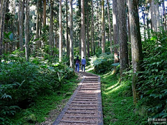 cesupi采集到【台湾旅游攻略】日月