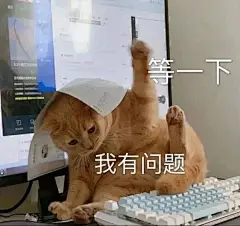 等一下 我有问题 表情包