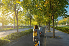 明月清风我wo采集到道路景观