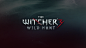 Witcher 3—UI & Gwint Redesigned on Behance