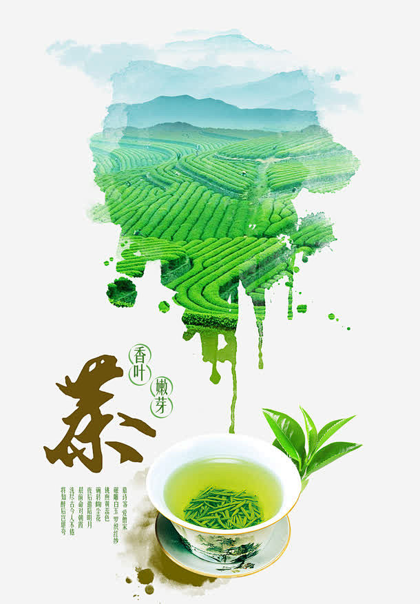绿色茶田