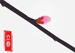 二十四节气之立春图片下载_新图网 https://www.ixintu.com
