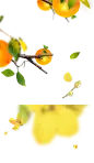 e655a68040b7cfb4af1b552898806db0