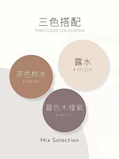 赫棠采集到配色