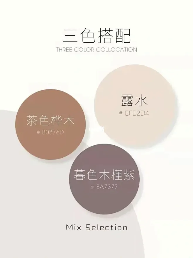 复古风配色 : 4组复古风配色 温柔风高级感 #法式婚礼 #高级感配色 1⃣️黑夜女王紫 木蔷薇 西拉红 月落葡萄 2⃣️茶色桦木 露水 暮色 ...