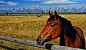 Photograph The Pastoral Pasture by Jeff Clow on 500px