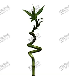 竹子 图片 竹叶 png  手 【酷图网】竹子,图片,竹叶,png,手绘,竹子翠竹,绿竹,竹枝,竹报平安,中国风,竹,竹子绘画,竹子矢量图,竹子墙贴,挂画插画,竹子手绘,竹林,竹笋,卡通竹笋,插画,植物,意境竹枝,竹影清风,竹子背景,手绘竹,绿色竹子,春天,插画竹子,手绘绿植,绿色植物,富贵竹,竹子素材,竹素材,