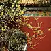爱情，是种在心里的蛊，刻入骨子里的毒。有心有意，为一份爱情付出，也许在一座冰冷的城里，付出的不一定会得到应有的回报，可爱情的蛊却让人无怨无悔。