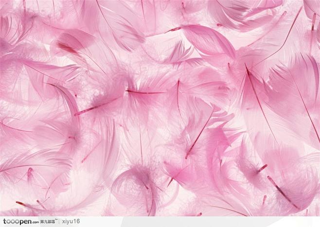 绚丽羽毛-散乱的粉色羽毛综合素材图片素材