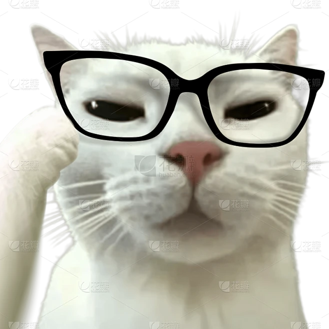 恶搞抽象猫meme思考搞笑贴纸AIGC素材-花瓣网