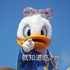 唐老鸭怼人表情包表情包无水印​​​