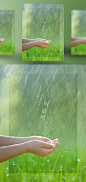 绿色背景 夏季雨水 接雨的手 节气主题海报PSD_平面设计_海报