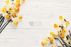 美丽的新鲜水仙花在白色的木制背景顶视图。你好春天的图像与明亮的黄色花边界与乡村木材的文字空间，平躺。
