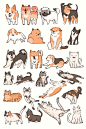 Cats and dogs doodle vector set | premium image by rawpixel.com / Niwat