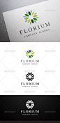 Florium标志 - 抽象图案模板