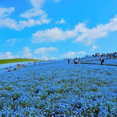 零零柒summer采集到美丽景致