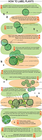 Lisa Orgler Design: HOW TO LABEL PLANTS