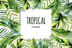 水彩手绘绿色热带雨林棕榈叶芭蕉叶插图背景AI矢量设计素材AW1924-淘宝网