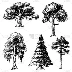 矢量树草图手绘风格类型绿色森林松树树梢集桦木、雪松、相思或绿叶花园为背景的棕榈和樱花插图