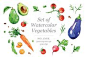 Set of watercolour Vegetables : Set of watercolour Vegetables PSD (with layers), CMYK, 3000x4000 px, 300 dpi