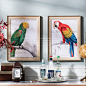 奇居良品 欧美式客厅餐厅美式动物装饰画壁画挂画有框画鹦鹉手稿