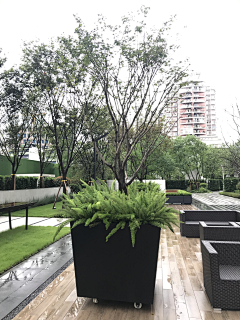 清咕吖采集到树箱花箱